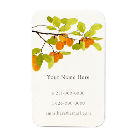 Apricots - Personal Calling Cards