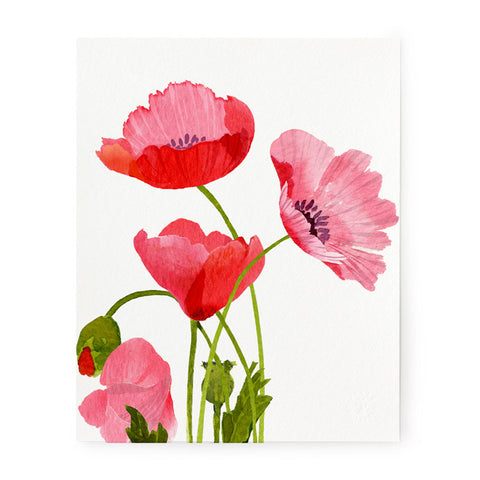 Pink Poppies - Art Print