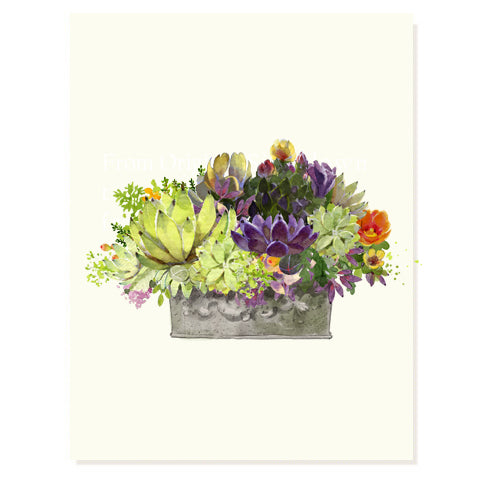 Desert Array - Occasion Card