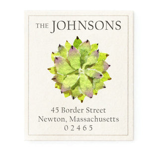 Succulent Rosette - Return Address Labels