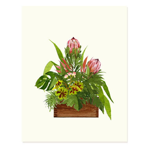 Protea Arrangement - Occasion Card