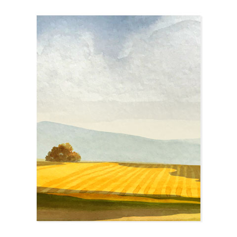 Golden Field - Triptych