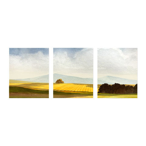 Golden Field - Triptych