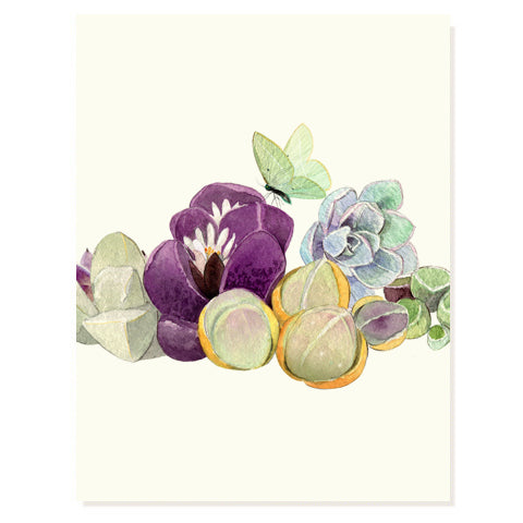 Echeveria - Occasion Card