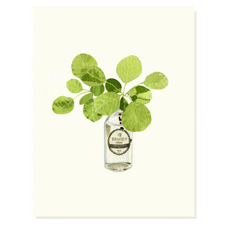 Smoke Bush - Occasion Card