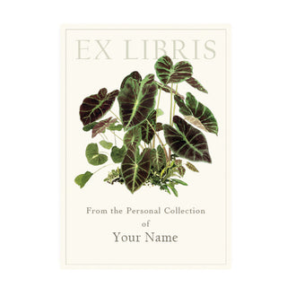 Colocasia Illustris - Bookplates