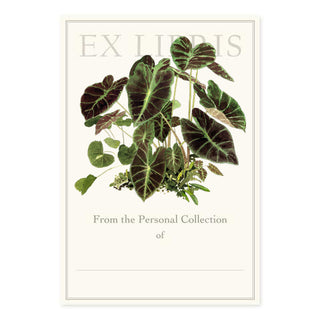Colocasia Illustris - Fill-in Bookplates