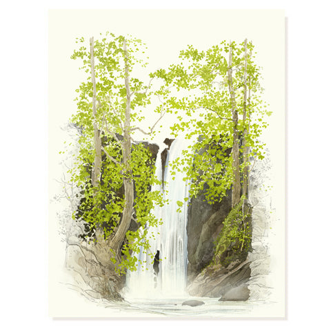 Falls - Occasion Card