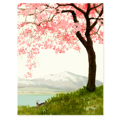 Birch Forest - Occasion Card