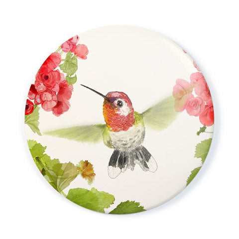Anna's Hummingbird