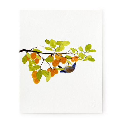 Backyard Treasure - Art Print