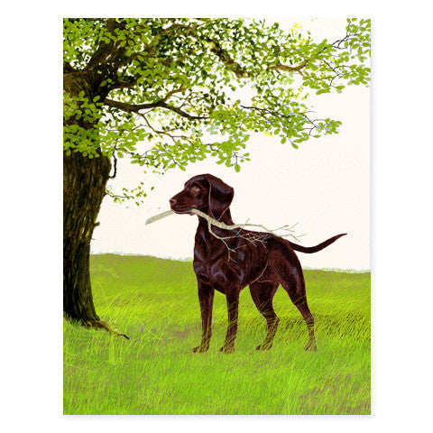 Stick - Occasion Card