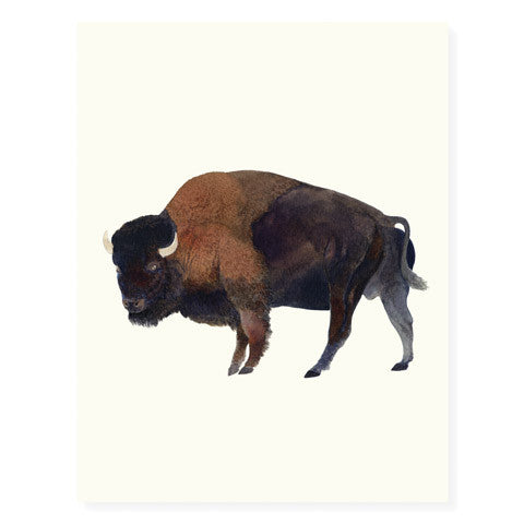 Buffalo - Occasion Card