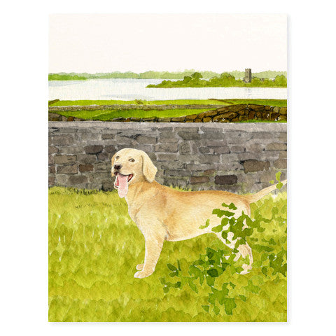 Golden Retriever - Occasion Card