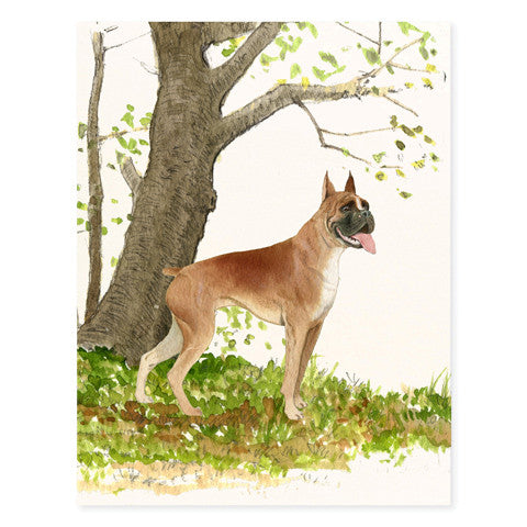 Boxer Bulldog - Occasion Cards
