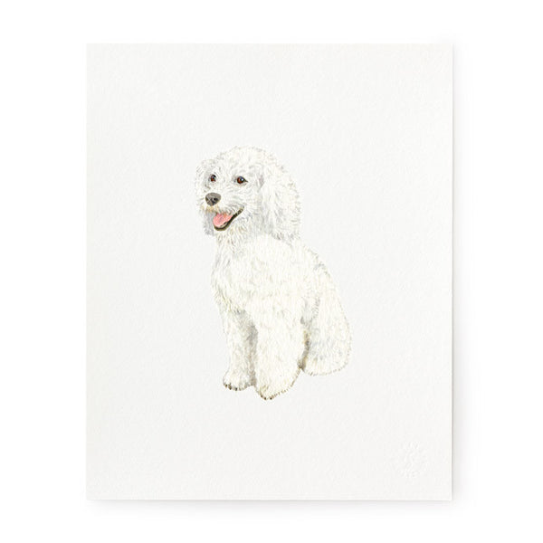Poodle - Art Prints