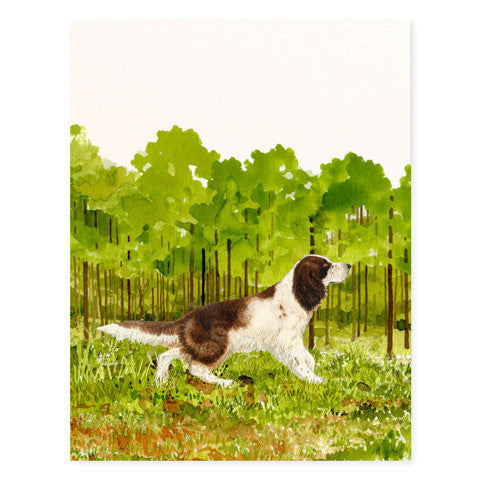 English Springer Spaniel - Occasion Cards