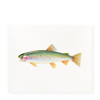 Rainbow Speckled Trout - Art Prints