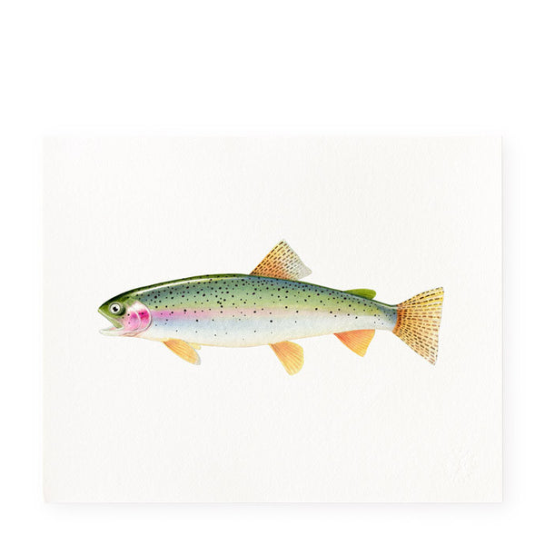 Rainbow Speckled Trout - Art Prints