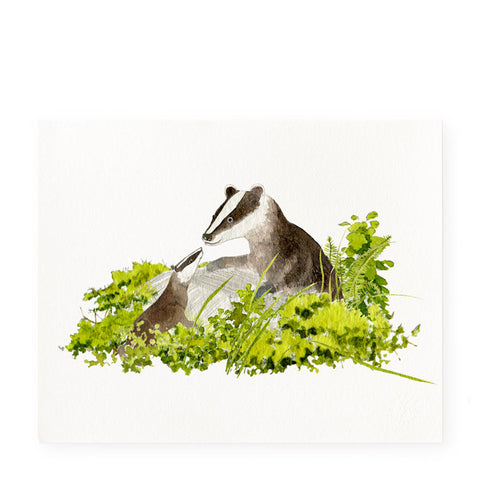 Badger Lesson - Art Prints