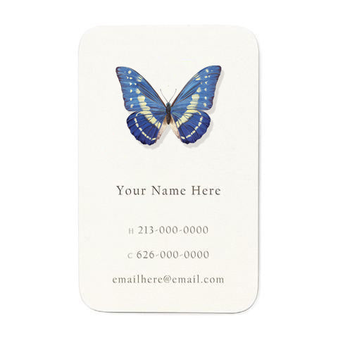 Morpho Cypris Butterfly