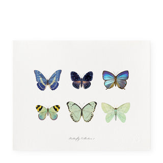 Butterfly Collection I - Art Print