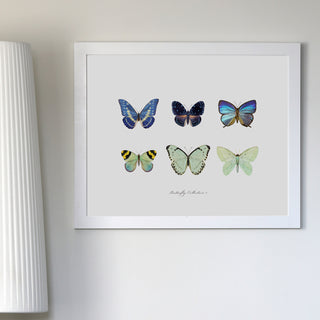 Butterfly Collection I - Art Print