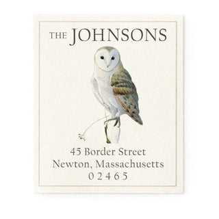 Winter Barn Owl - Return Address Labels