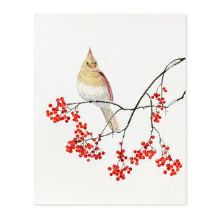 Lady Cardinal - Art Print