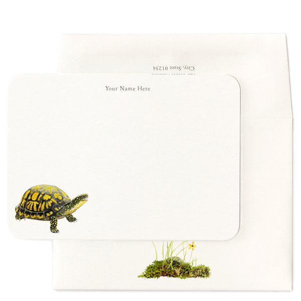 Box Turtle - Personalized Note Cards by Felix Doolittle