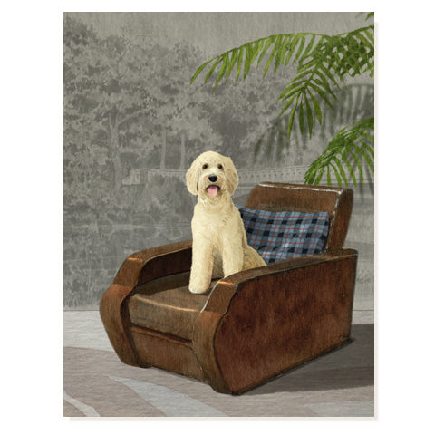 Goldendoodle