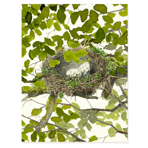 Good Nest - Occasion Card