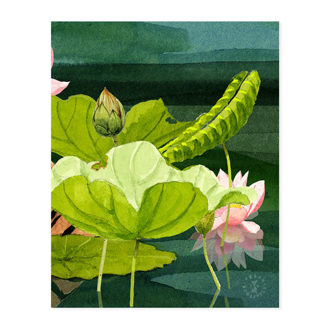 Water Tiger - Triptych