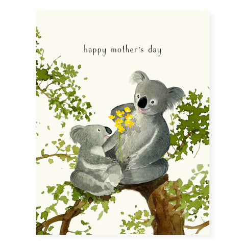 Koala Mama