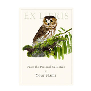 Saw Whet Owl - Bookplates