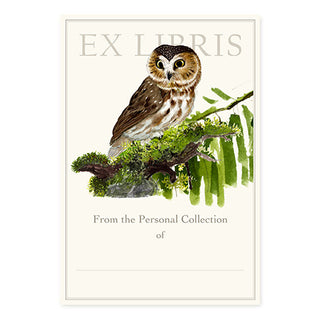 Saw Whet Owl - Fill-in Bookplates