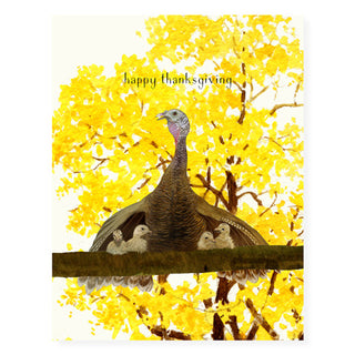 Pardon Me - Thanksgiving Card