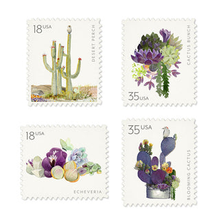 Sonoran - Decorative Labels