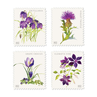 Violettes - Decorative Labels