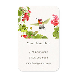 Anna’s Hummingbird - Personal Calling Cards