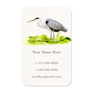 Great Blue Heron - Personal Calling Cards