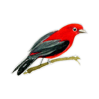 Scarlet Tanager - Vinyl Sticker